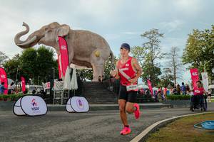 BIB: 
                            <button type="button" onclick="openModal(26529134)" class="btn btn-primary btn-sm float-right btn-popup" data-toggle="modal" data-target=".modal-high-quality">
                        <i class="fas fa-shopping-cart"></i> Add to Cart
                    </button>
                                            <button type="button" onclick="isThisMe(26529134, true)" class="btn btn-success btn-sm float-right btn-popup btn-isme hidden" data-toggle="tooltip" data-placement="bottom" title="นี่คือรูปของคุณใช่ไหม คลิกที่นี่เพื่อเอาเข้าอัลบั้ม">
                        <i class="fas fa-plus"></i> Add to album
                    </button>
                    <button type="button" onclick="isThisMe(26529134, false)" class="btn btn-warning btn-sm float-right btn-popup btn-isnotme hidden">
                        <i class="fas fa-ban"></i> Remove from album
                    </button>